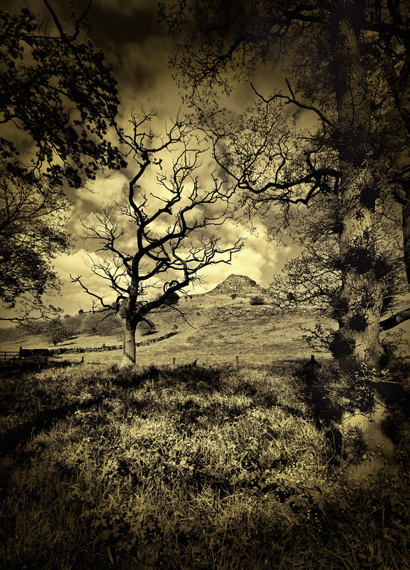 Spring's Fading Light - It's Not Just Black and White