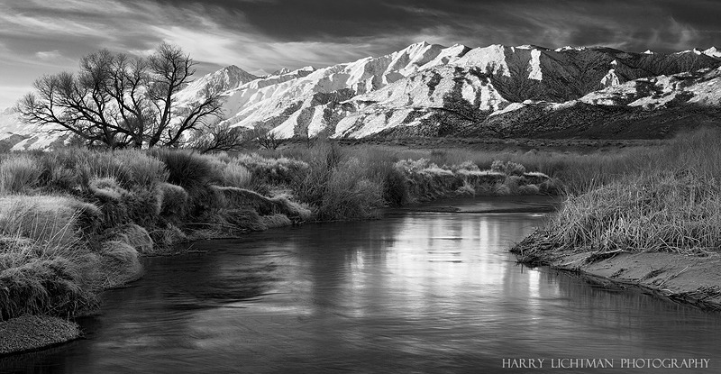 Sierra Frosting - Owens River - Black & White