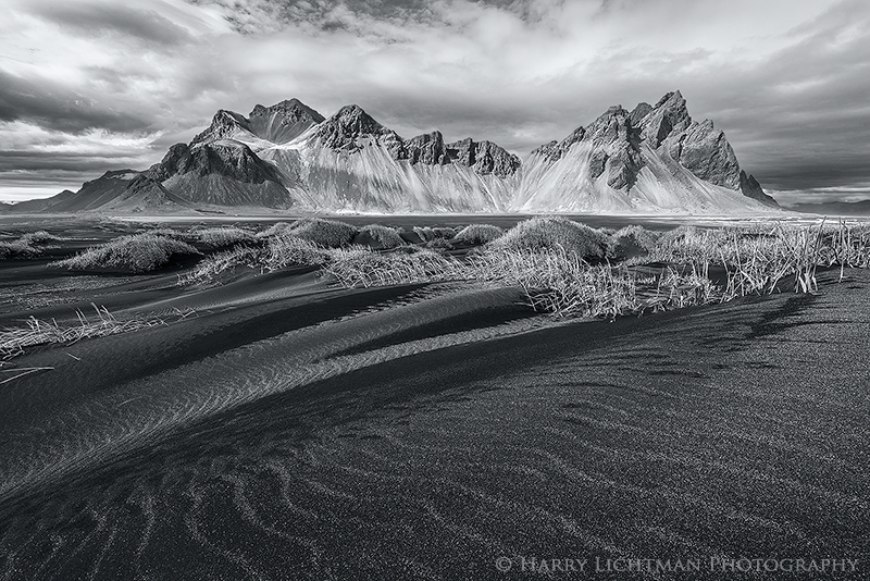 Sand Serpents - Monochrome - Black & White