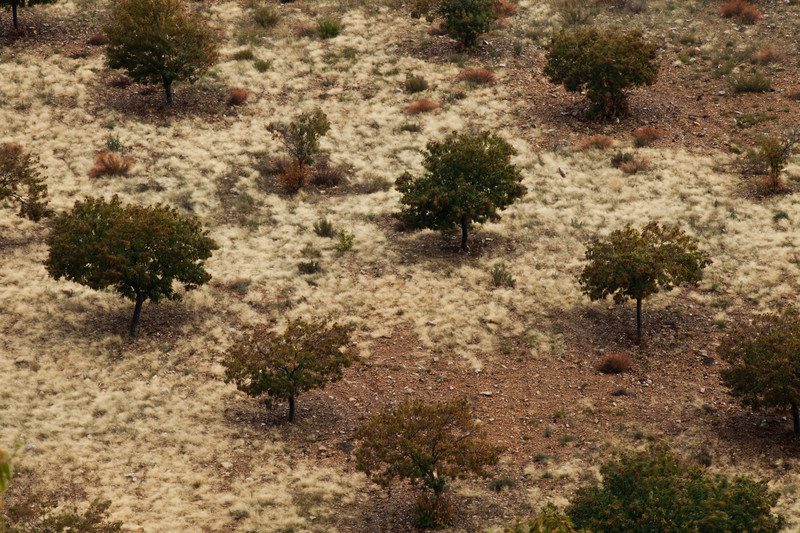 Fine art landscape photography taken from the stunning location of Extremadura, Spain.