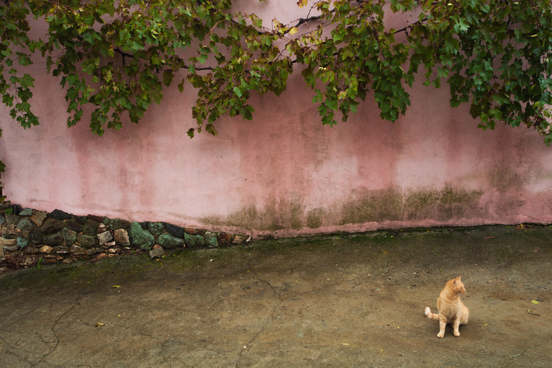 Travel photography of rural Extremadura in Spain.