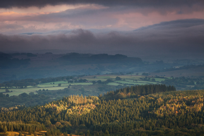 The Forest of Fawr.