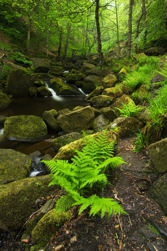 Landscape photography taken in the UK by photographer Lewis Phillips
