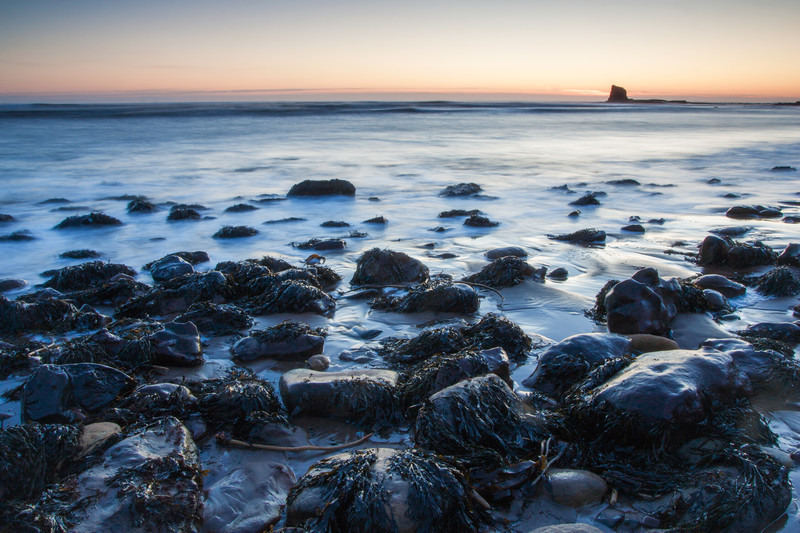 Receding Tides. - Seascapes