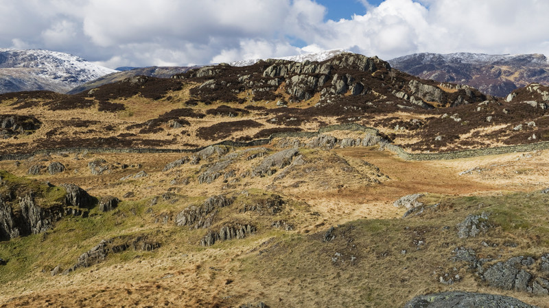 Rural Lakeland. - Panoramic Images
