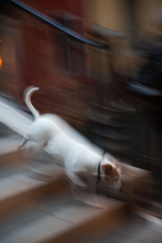 Urban photography of the streets in Venice.