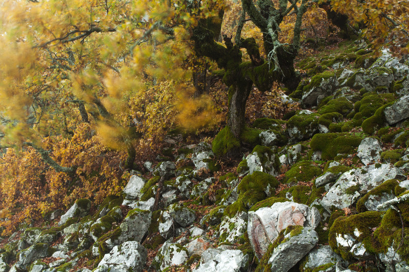 Fine art landscape photography taken from the stunning location of Extremadura, Spain.