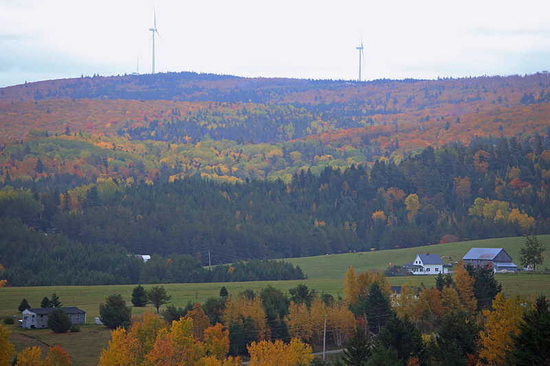 Prosser Brook, New Brunswick Autumn Foliage