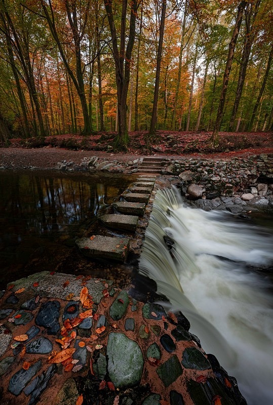 Stepping Stones Tollymore Forest Park 2683