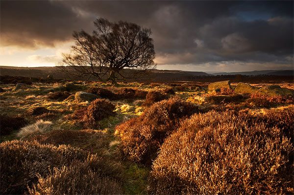Ancient Land - Landscapes
