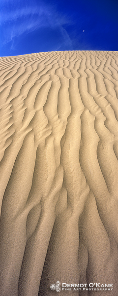 Dune - Panoramic Vertical Images