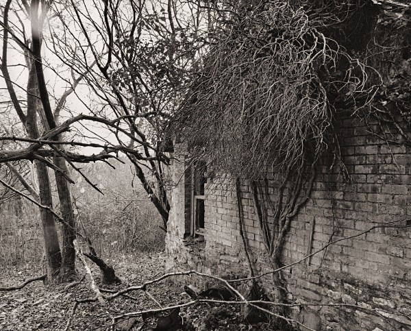 CANADA, Stag’s Head, Ceredigion 2014 - CEREDIGION FARMHOUSES