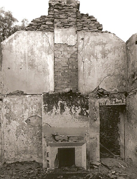 TYNGRAIG, Devil's Bridge, Ceredigion 2010 - CEREDIGION FARMHOUSES