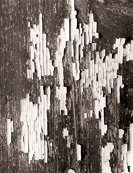 EMPTY COTTAGE, New Row, Ceredigion 2003 - ABSTRACTIONS