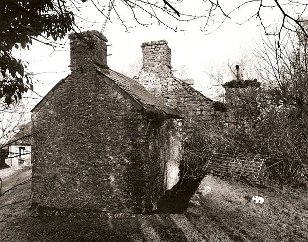 TAN-Y-FOEL, Ram, Nr Cwmann, Carmarthenshire 2011 - CARMARTHENSHIRE