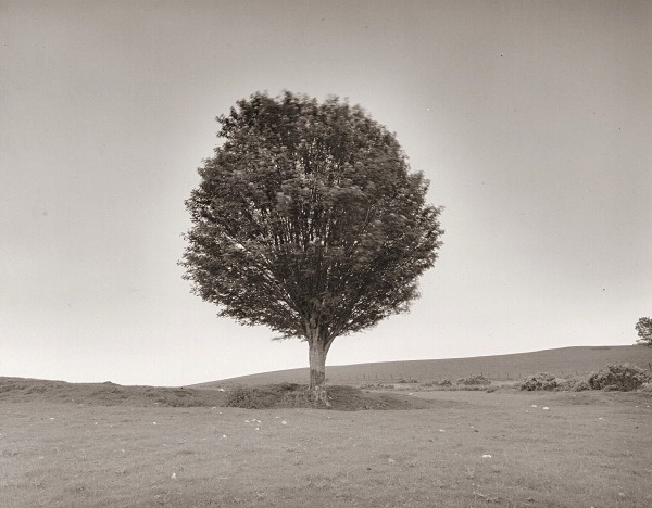 TYN RHOS, Bwlchllan, Ceredigion 2015 - CEREDIGION FARMHOUSES