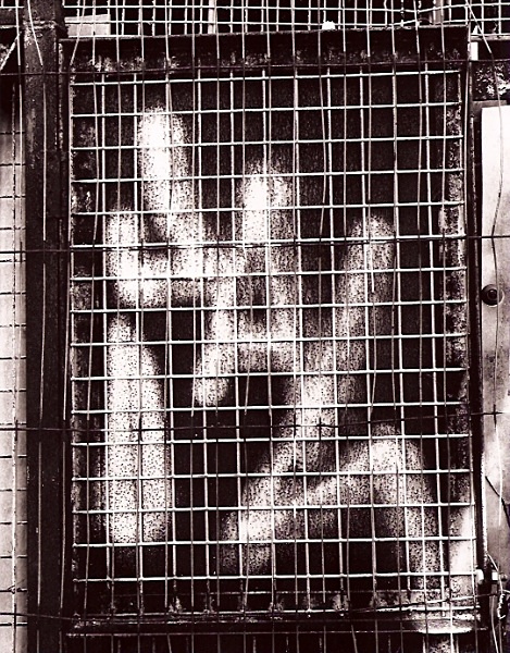 CEMENT WORKS, Shoreham, West Sussex 2008 - ABSTRACTIONS