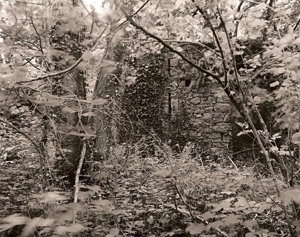 THE SYSTERNE HOUSE/SISTER'S HOUSE, Minwear, Pembrokeshire 2011 - PEMBROKESHIRE