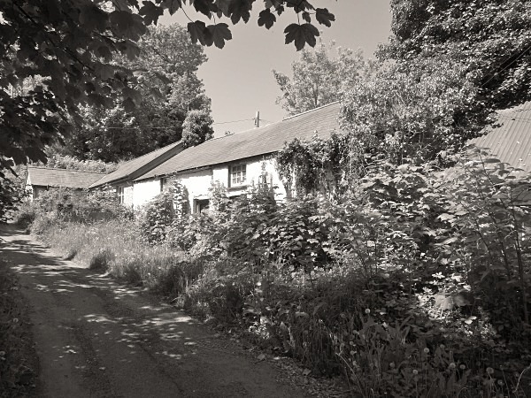 DOLHALOG COTTAGES, Aberaeron, Ceredigion 2013 - CEREDIGION FARMHOUSES