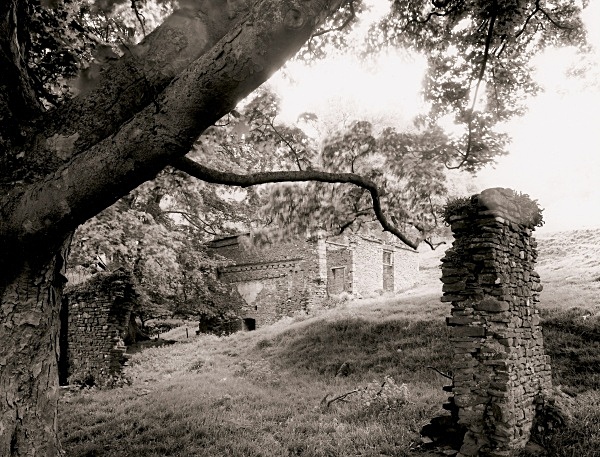 Y SIARPAL, Llanthony, Monmouthshire 2005