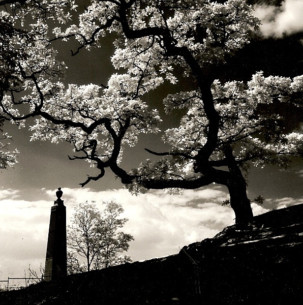 MARIAMNE'S MONUMENT, Hafod, Ceredigion 1991 - THE WELSH LANDSCAPE