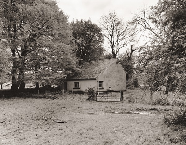 LLANIO FELIN, Llanio, Ceredigion 2014 - CEREDIGION FARMHOUSES