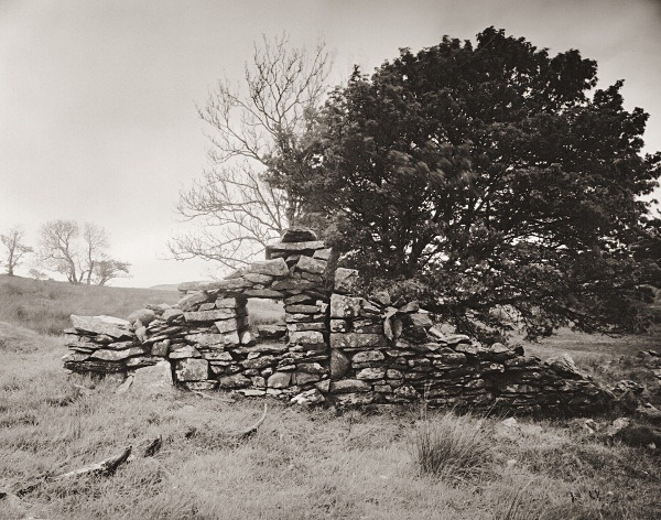 CARADOG (pig-sty?), Rhos-gelli-gron common, Pontrhydyfendigaid... - CEREDIGION FARMHOUSES