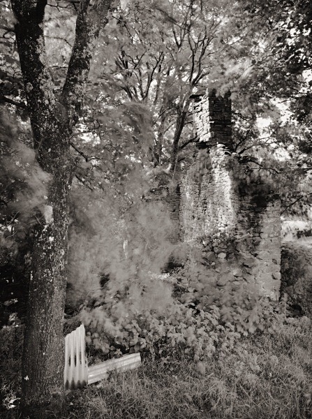 MAESLLYDAN, Llwynpiod, Ceredigion 2015 - CEREDIGION FARMHOUSES
