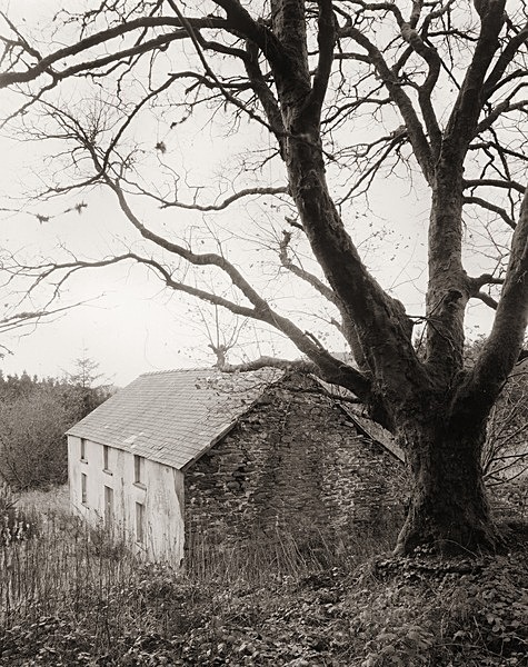DOLWEN, Devil's Bridge, Ceredigion 2011 - CEREDIGION FARMHOUSES