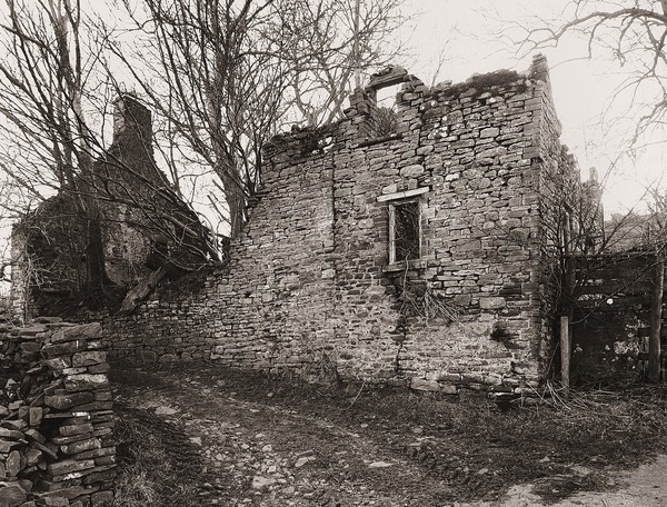 Danywern, Glanusk Estate, Crickhowell, Brecknock 2012 - BRECKNOCKSHIRE