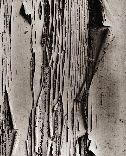 CUB HUTS, Devil's Bridge, Ceredigion 2015 - ABSTRACTIONS