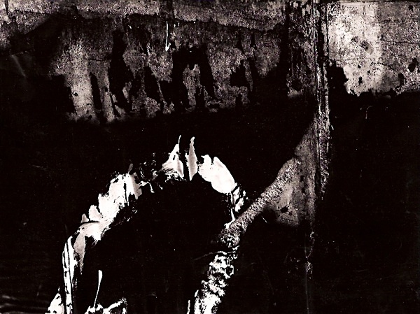 WALL, Carmarthen 1995 - ABSTRACTIONS