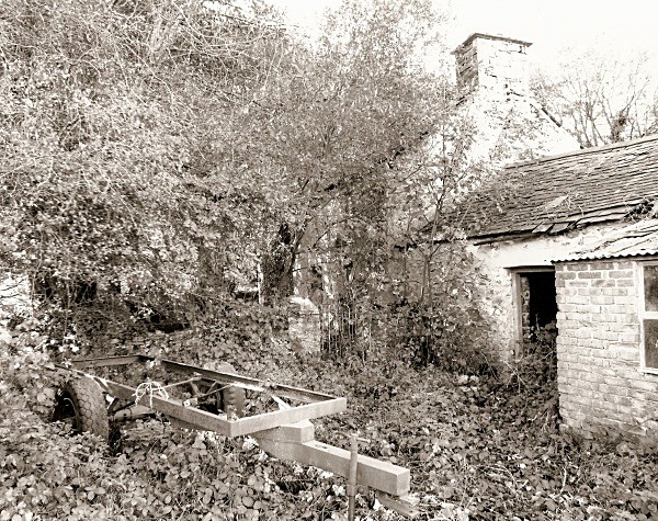 LLAIN, Ceredigion 2010 - CEREDIGION FARMHOUSES