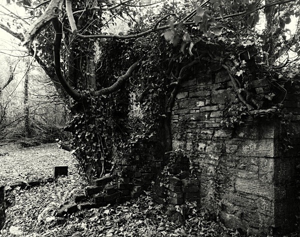 PENLLERGAER MANSION GARDENS, Swansea 2016 - GLAMORGAN