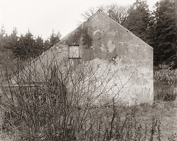 DOLWEN, Devil's Bridge, Ceredigion 2011 - CEREDIGION FARMHOUSES