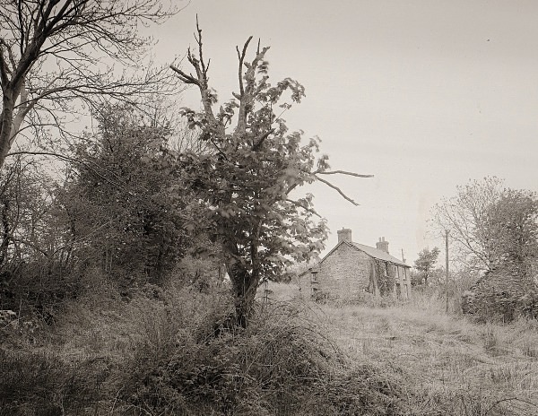PEN-BRYN-RHYG, Stags Head, Ceredigion 2013 - CEREDIGION FARMHOUSES