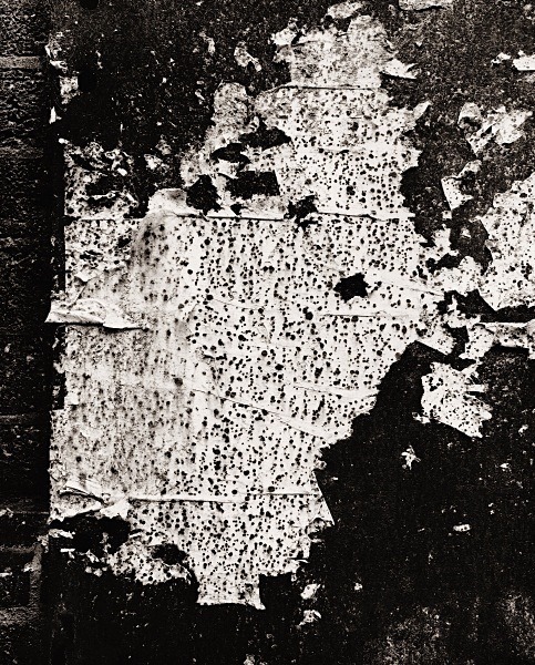WALL, Brighton 2007 - ABSTRACTIONS