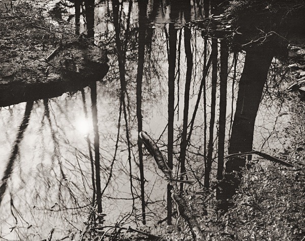 AFON RHEIDOL RIVER, Ceredigion 2015 - THE WELSH LANDSCAPE