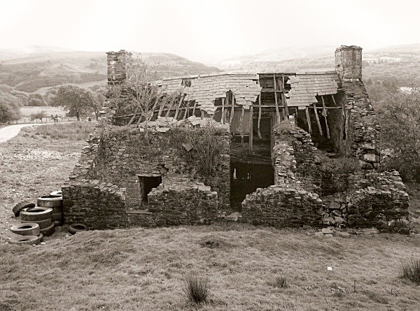 BRON Y BERLLAN,Ceredigion 2010 - CEREDIGION FARMHOUSES