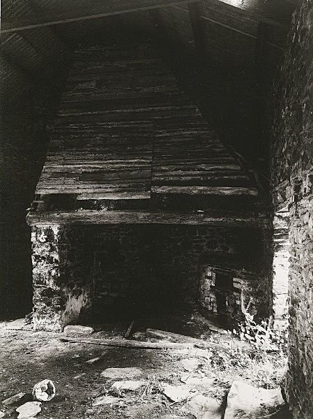 TEGFYNYDD MILL, Llanfallteg, Carmarthenshire 2011 - OTHER WELSH RUINS