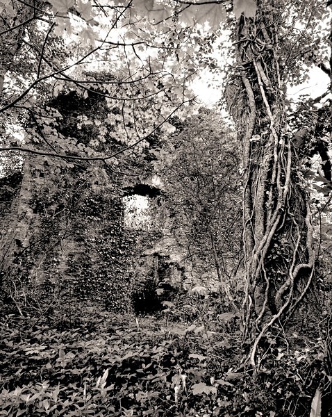 GREEN CASTLE (CASTELL MOEL), Llangain, Carmarthenshire 2014 - CARMARTHENSHIRE