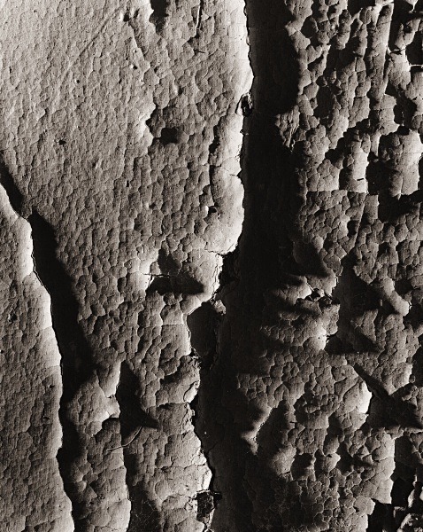 ABSTRACTION at FRON FELIN, Chancery, Ceredigion 2015 - ABSTRACTIONS