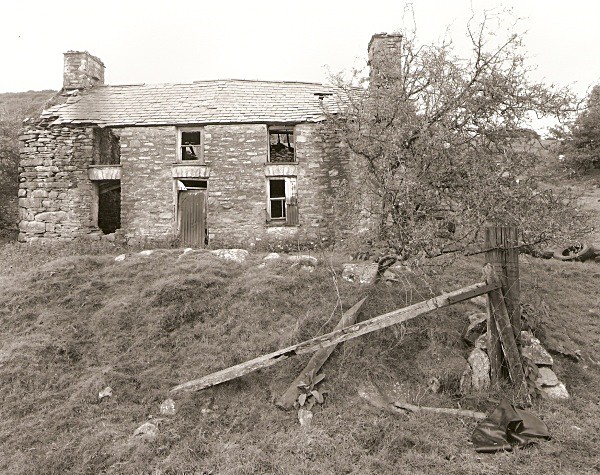 BRON Y BERLLAN, Ceredigion 2010 - CEREDIGION FARMHOUSES