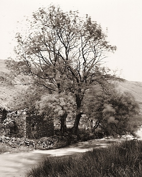 HENGWM-ANNEDD, Nant-y-Moch, Ceredigon 2011 - CEREDIGION FARMHOUSES