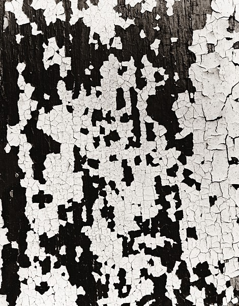 ABSTRACTION AT FEN ONWYN (revisited), Bont-Newydd, Ceredigion 2014 - ABSTRACTIONS