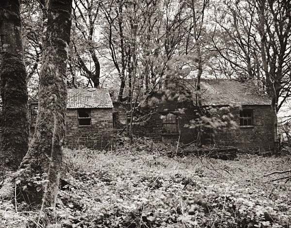 PANT-Y-RHEW-FACH, Dihewyd, Ceredigion 2015 - CEREDIGION FARMHOUSES