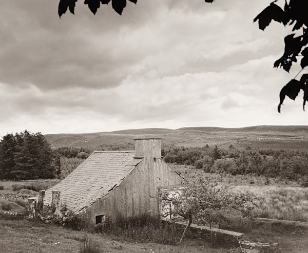 MAES-LLYN, Bethania, Ceredigion 2014 - CEREDIGION FARMHOUSES