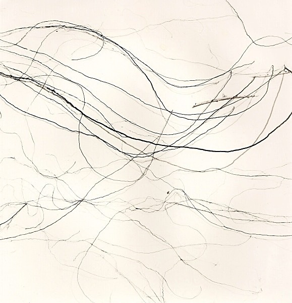 WHITE SAND DUNES, New Mexico 1998 - MISCELLANEOUS