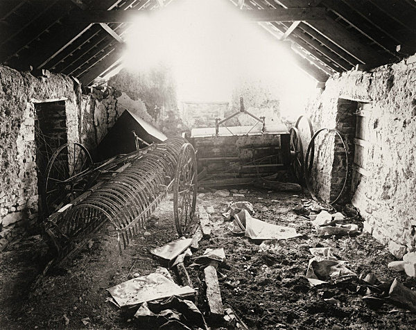 TAI'N COED, Nantcwnlle, Ceredigion 2011 - CEREDIGION FARMHOUSES