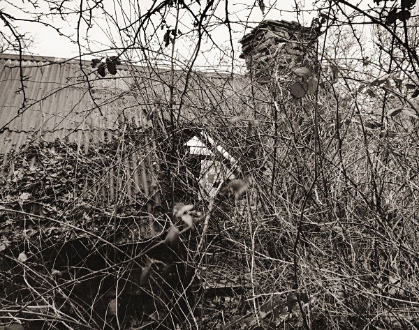 ALLT-DDU, Pont Llanio, Ceredigion 2015 - CEREDIGION FARMHOUSES